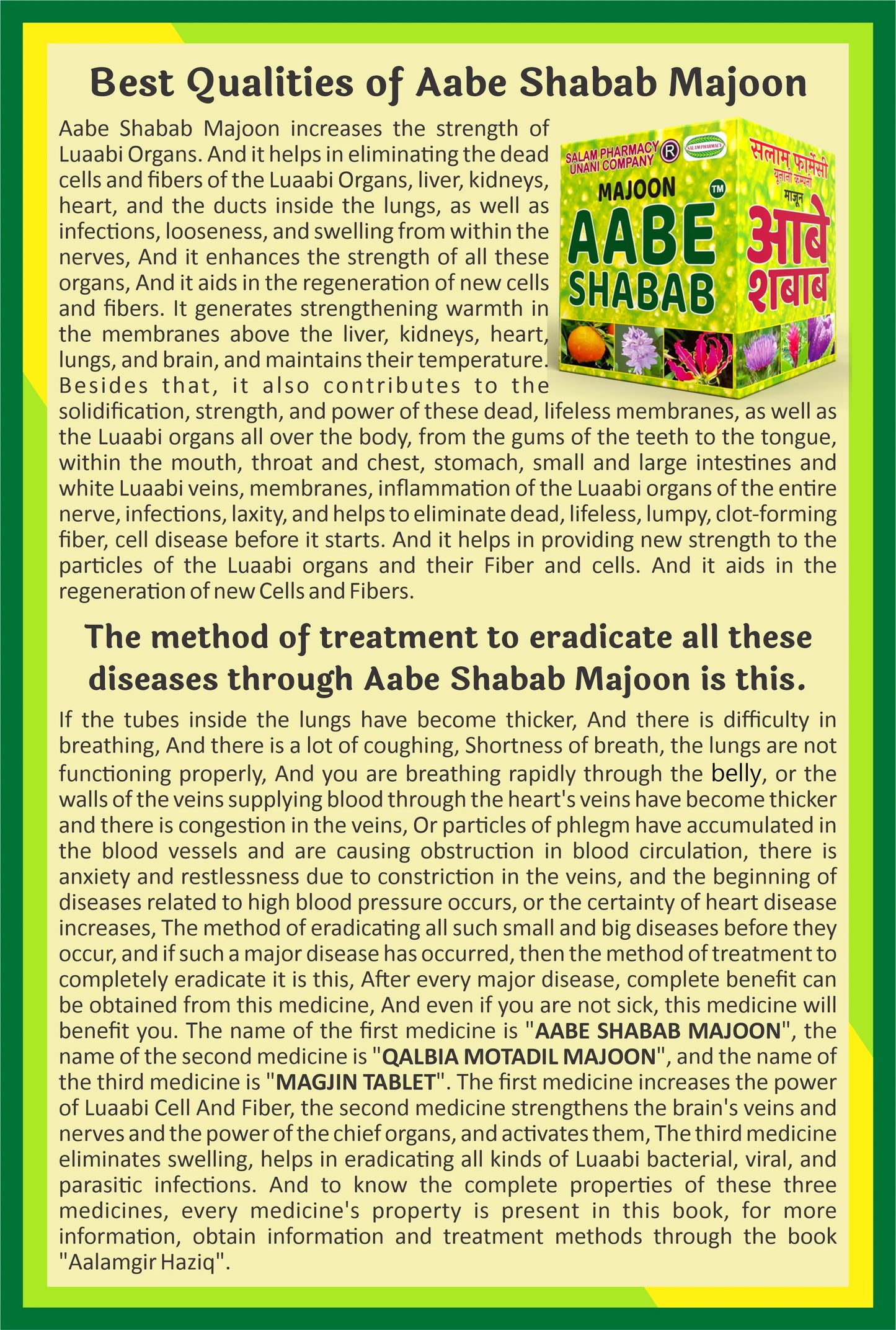 Aabe Shabab 150gm Majoon – Strengthens organs, boosts energy, clears toxins, supports respiration, and enhances wellness with a potent herbal blend! - Salam Pharmacy